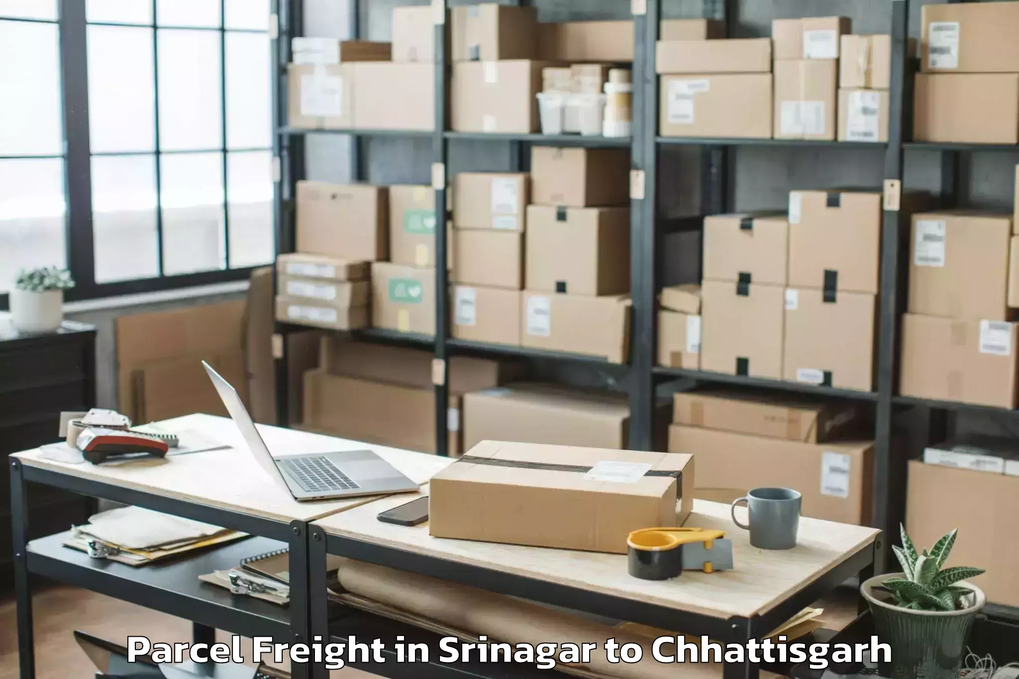 Easy Srinagar to Atal Nagar Nava Raipur Parcel Freight Booking